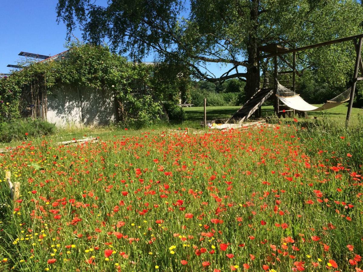 Le Jardin Des Sources Bed & Breakfast La Hulpe Exterior photo